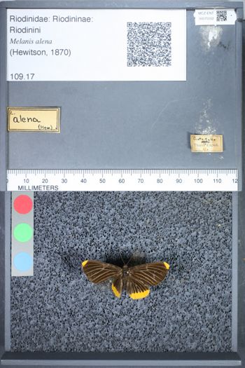 Media type: image;   Entomology 75502